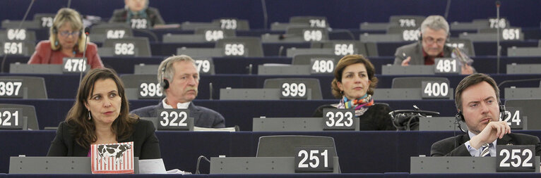 Foto 6: Ana MIRANDA takes part in the CAP reform debate in Strasbourg