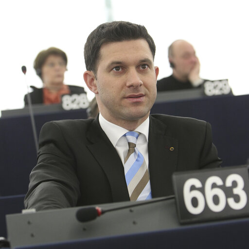 Petru Constantin LUHAN in Plenary session week 11 2013