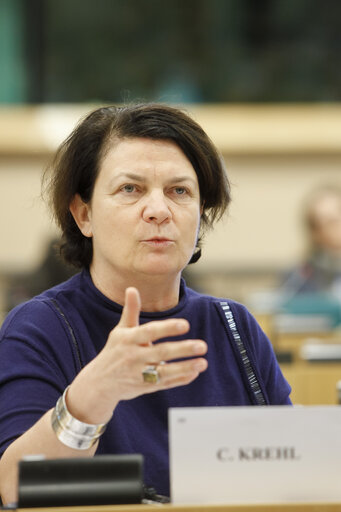 Fotografija 6: REGI - Hearing on Smart Specialisation; Committee debate on cohesion legislation