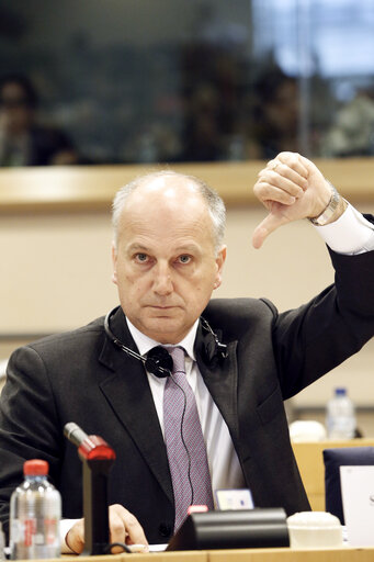 Fotografija 5: Vote of the mid-term report of the CRIM committee