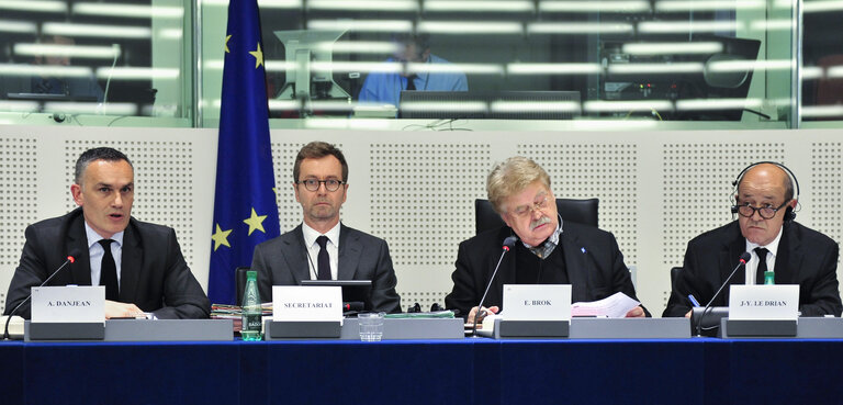 Photo 7 : SEDE committee meeting  Exchange of views with   Jean-Yves LE DRIAN, minister of defence of France