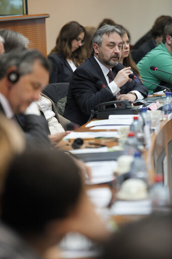 Foto 2: Meeting: Russia's Civil Society under pressure - what the EU should do