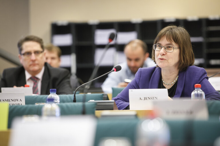 Fotografija 16: REGI - Hearing on Smart Specialisation; Committee debate on cohesion legislation