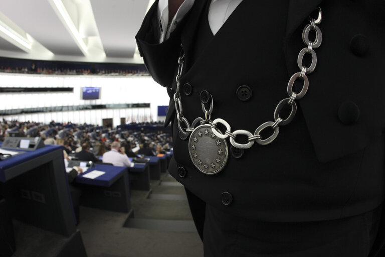 Fotagrafa 1: Plenary session week 21 2013 in Strasbourg - Joint debate - European Council meeting (22 May 2013) - tax fraud and tax havens