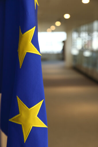 Fotó 1: European Flag