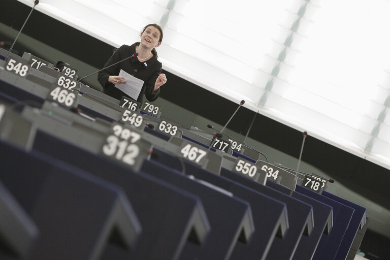 Photo 13 : Plenary session week 21 2013 - Draft WIPO Treaty