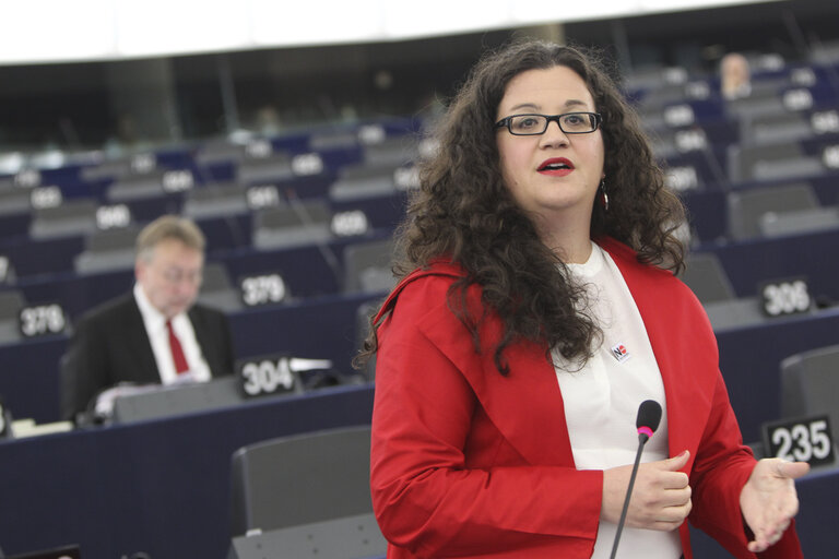 Fotagrafa 13: Plenary session week 21 2013 in Strasbourg - Joint debate - European Council meeting (22 May 2013) - tax fraud and tax havens