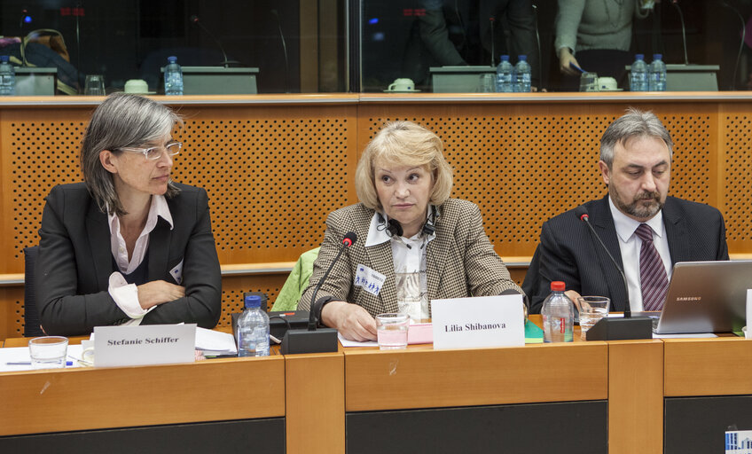 Foto 21: Meeting: Russia's Civil Society under pressure - what the EU should do