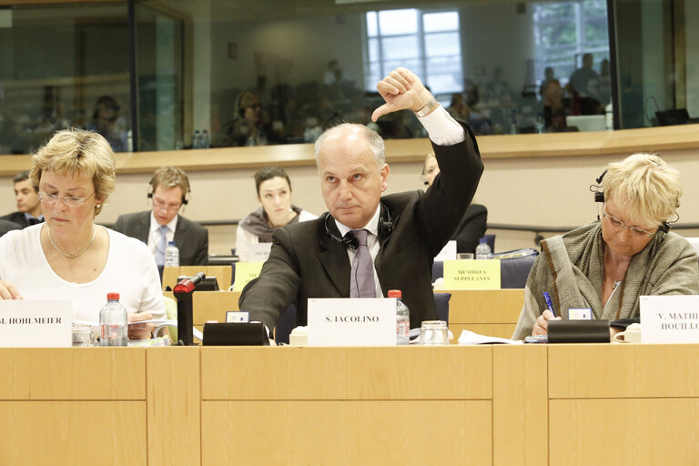 Fotagrafa 1: Vote of the mid-term report of the CRIM committee