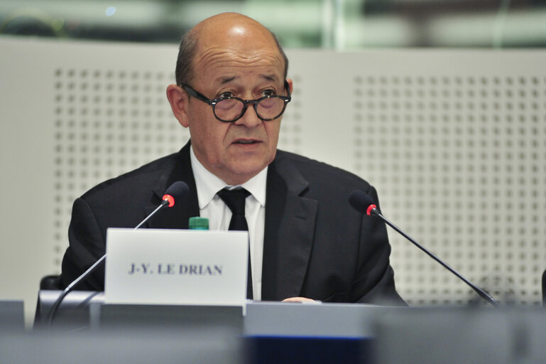 Photo 6 : SEDE committee meeting  Exchange of views with   Jean-Yves LE DRIAN, minister of defence of France