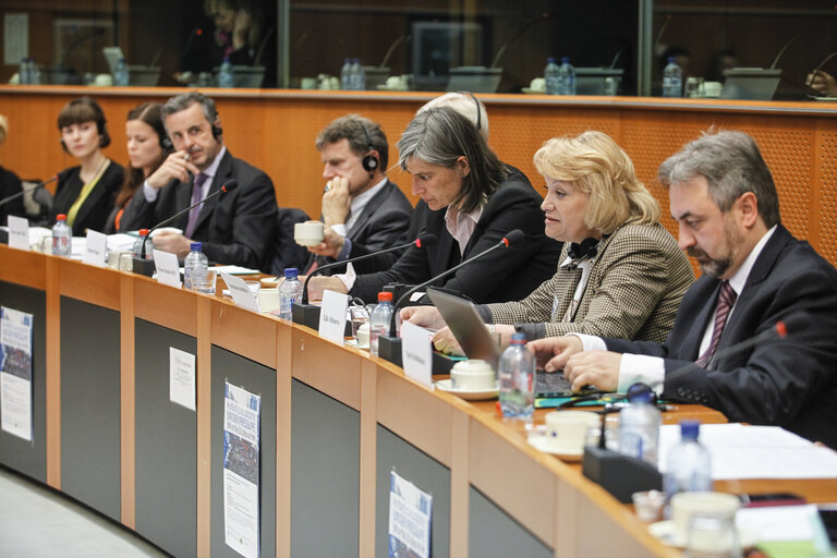 Foto 9: Meeting: Russia's Civil Society under pressure - what the EU should do