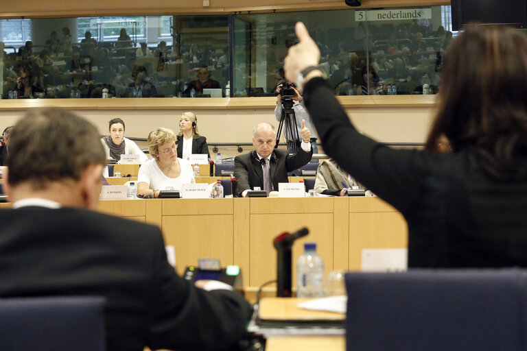 Fotografija 2: Vote of the mid-term report of the CRIM committee