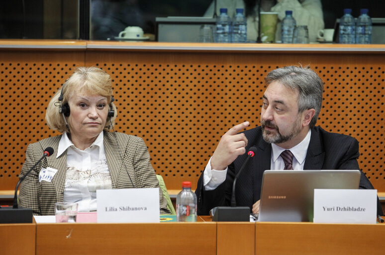 Foto 5: Meeting: Russia's Civil Society under pressure - what the EU should do