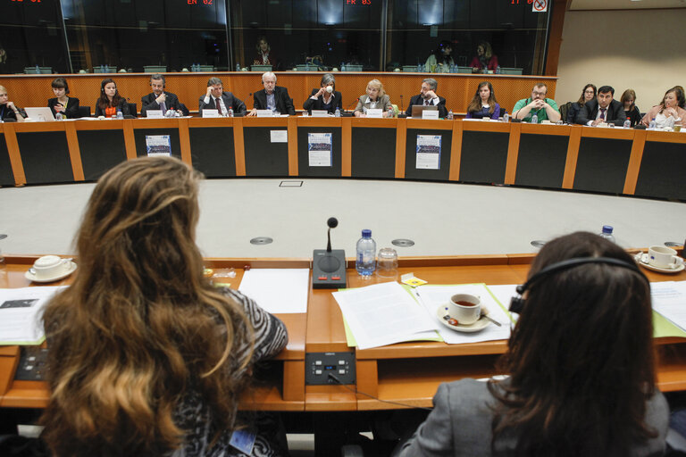 Foto 7: Meeting: Russia's Civil Society under pressure - what the EU should do