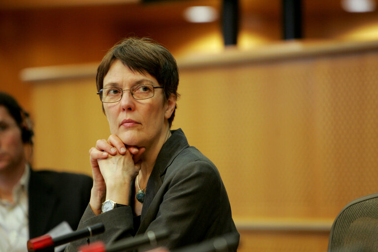 Foto 2: MEP Satu HASSI attends a meeting in Brussels