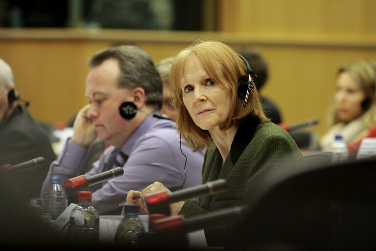 Fotagrafa 1: MEP Kathy SINNOTT attends a meeting in Brussels