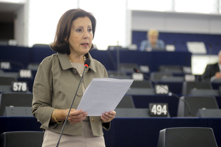 Billede 30: Plenary Session Week 37 2012 Intergovernmental agreements between Member States and third countries in the field of energy