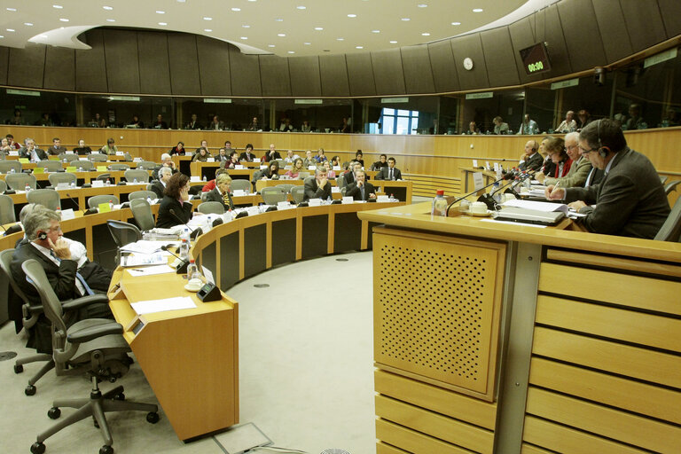 Foto 2: TRAN Committee meeting in Brussels