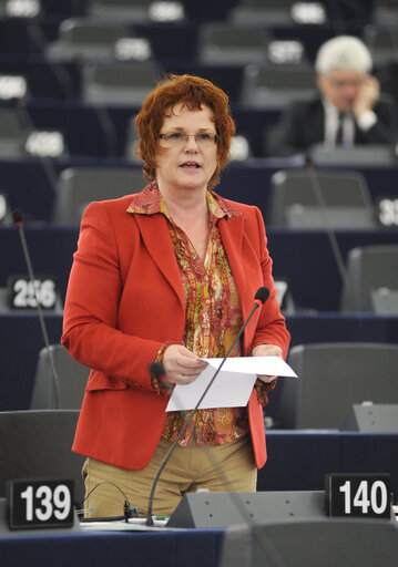 Photo 5: Plenary Session in Strasbourg - Week 43  European Council and European Commission statements