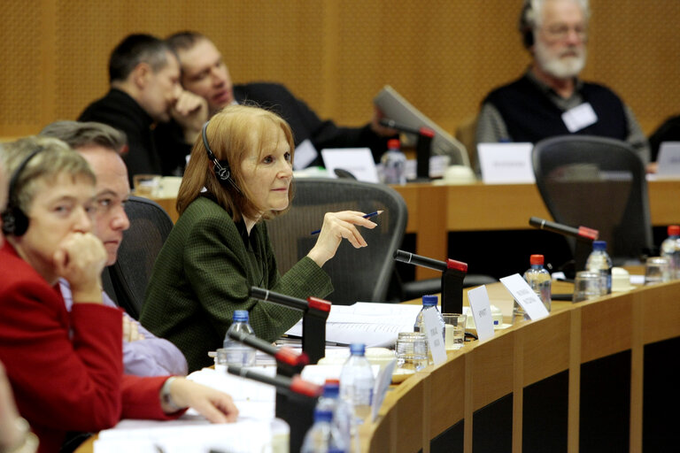 Fotografija 2: MEP Kathy SINNOTT attends a meeting in Brussels