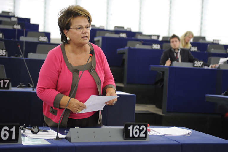 Billede 33: Plenary Session Week 37 2012 Intergovernmental agreements between Member States and third countries in the field of energy