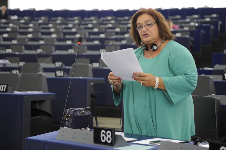 Suriet 38: Plenary Session Week 37 2012 Intergovernmental agreements between Member States and third countries in the field of energy