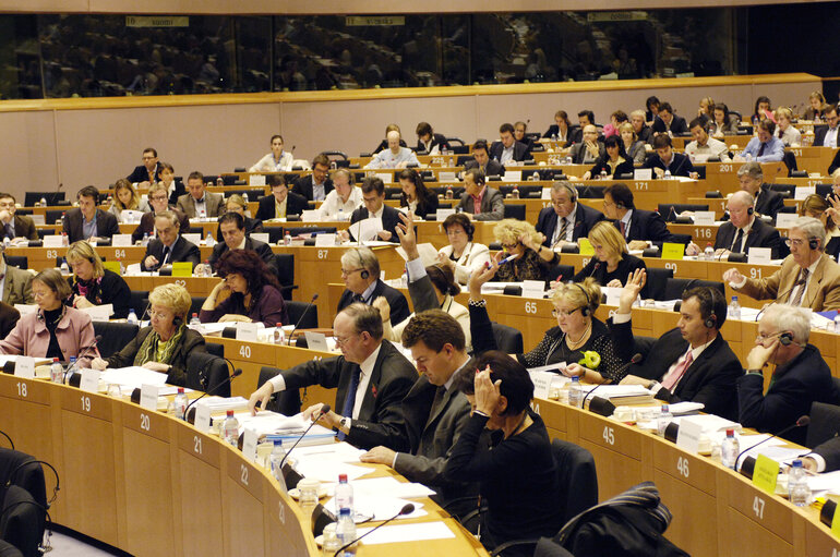 Photo 5: IMCO Committee meeting in Brussels