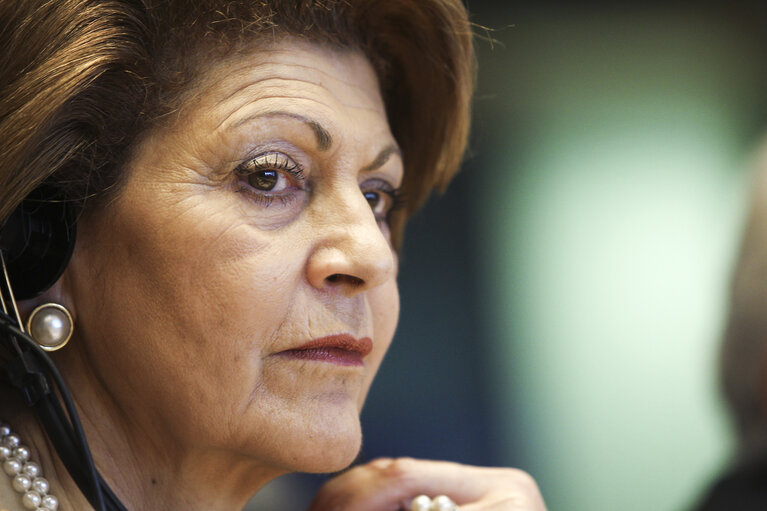 Photo 11 : New technologies and education for multilingualism.