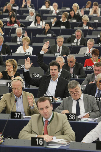 Photo 36 : Plenary session week 37-2012 - Votes