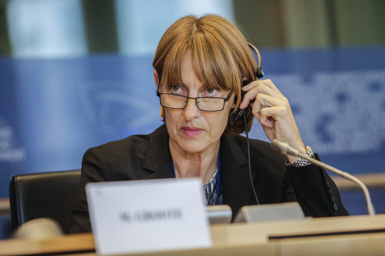 ENVI Committee Meeting: Exchange of views with European Environment Agency's director