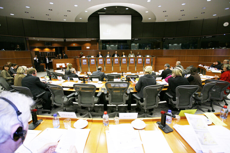 Foto 5: PECH Committee meeting in Brussels