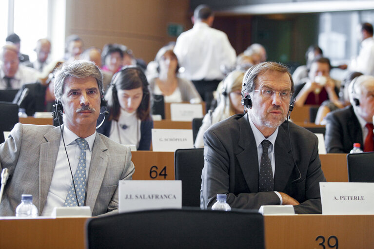 Foto 3: AFET extraordinary committe meeting