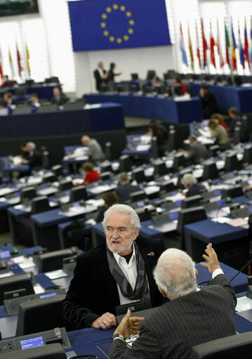 Photo 4: Plenary Session in Strasbourg - Week 43  Multiannual financial framework - own resources