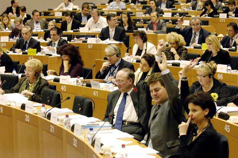 Fotogrāfija 7: IMCO Committee meeting in Brussels