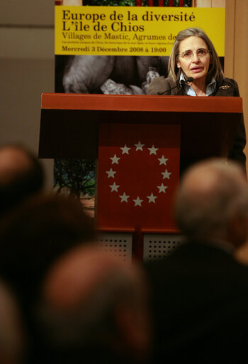 Foto 1: MEP Marie PANAYOTOPOULOS-CASSIOTOU delivers a speech at the opening of an exhibition on the Chios Island