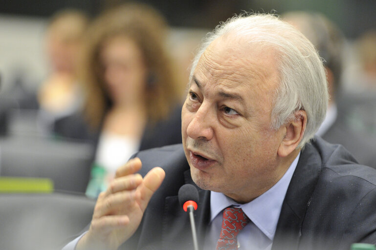 Foto 6: ECON Committee meeting.  Nomination ECB board.