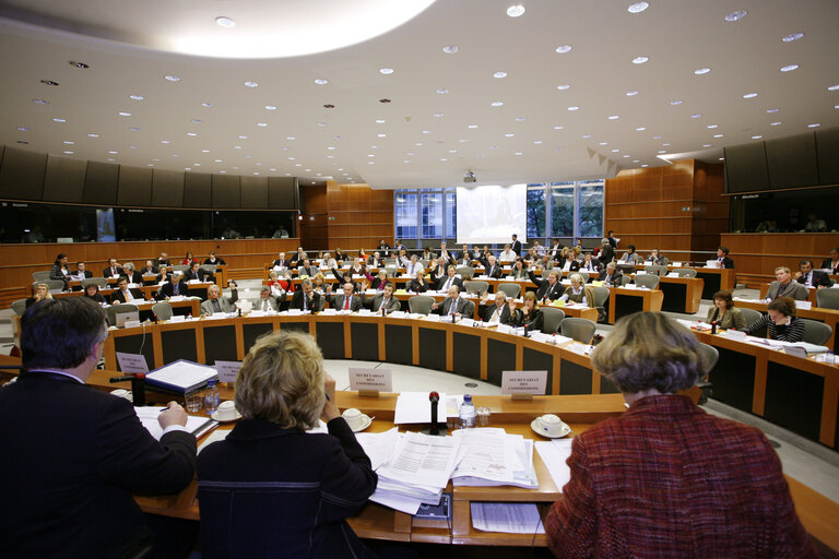 Valokuva 1: PECH Committee meeting in Brussels