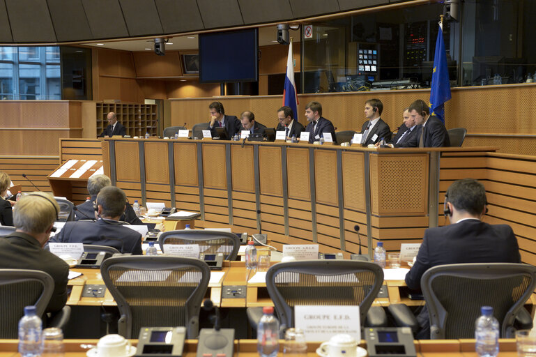 EU-Russia parliamentary cooperation committee - EU and Russian cooperation in security and foreign policy: Common responsibility in the world