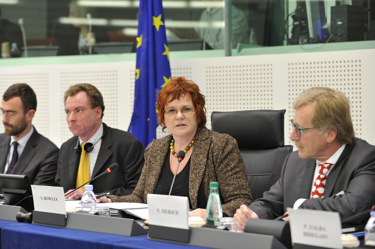 Foto 20: ECON Committee meeting.  Nomination ECB board.