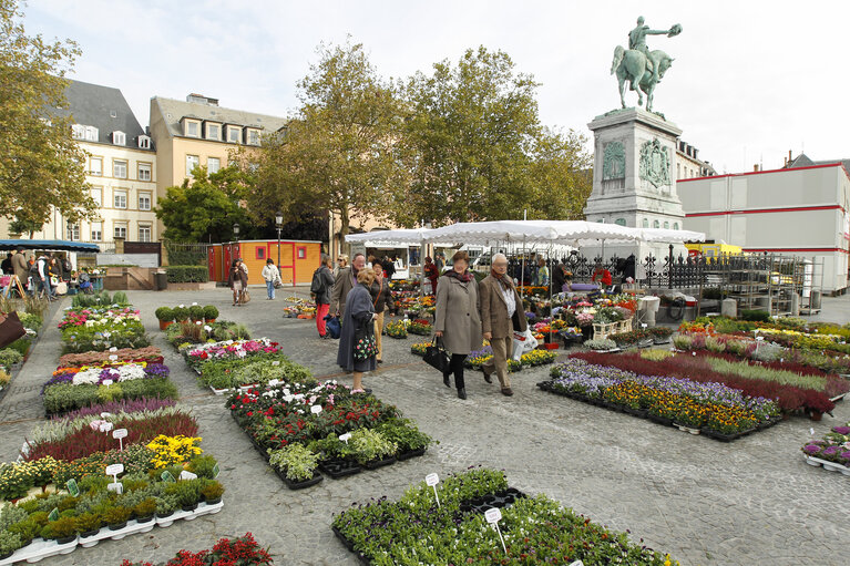 Φωτογραφία 24: General view of Luxembourg City