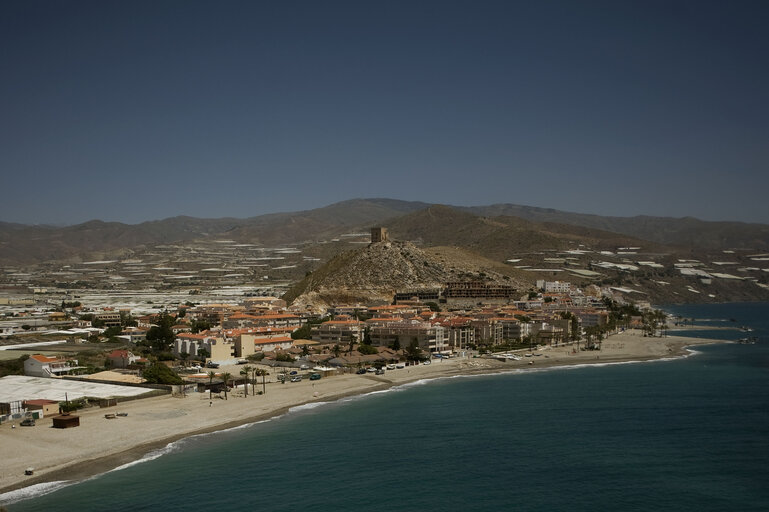 Photo 3 : Large Green house plantation in Castell de Ferro, Spain