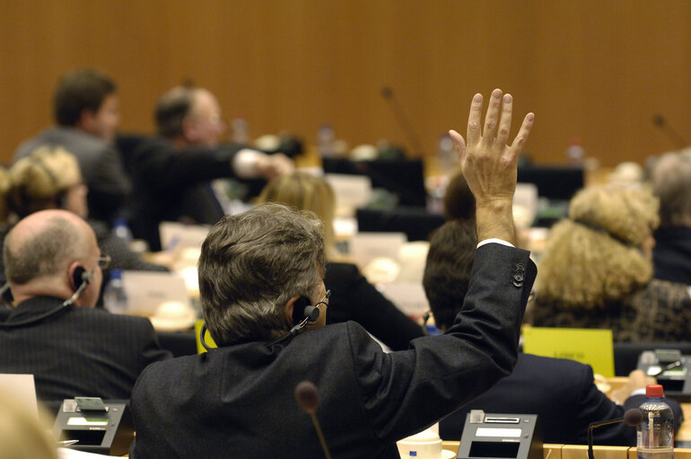 Fotografie 2: IMCO Committee meeting in Brussels