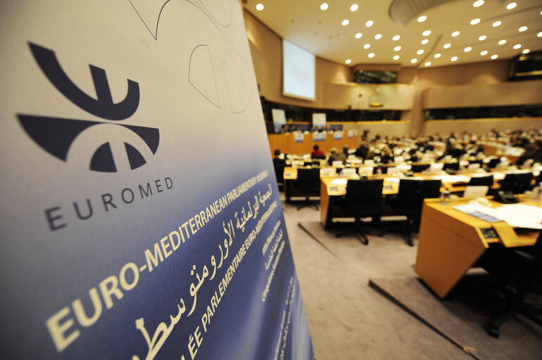 Fotó 8: Plenary session of Euro-Med Assembly on the situation in the Middle East and the impact of the world financial crisis on the Mediterranean region .