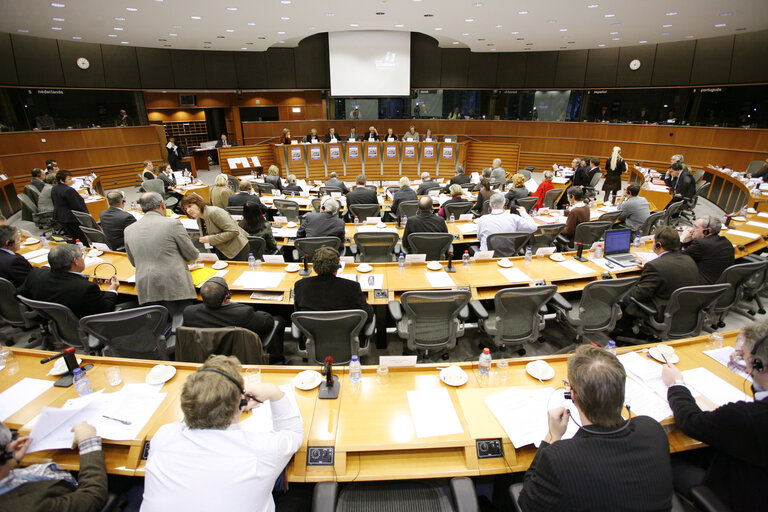 Foto 4: PECH Committee meeting in Brussels