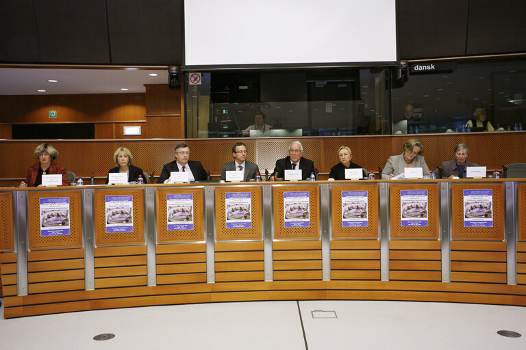 Foto 6: PECH Committee meeting in Brussels