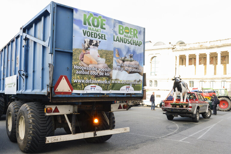 Fotografija 30: Demonstration called '1,000 tractors to Brussels' by European milk producers in the European area of Brussels