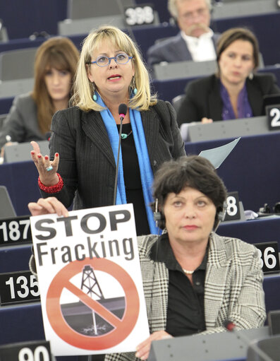 Plenary session week 47 - 2012 - Shale gas