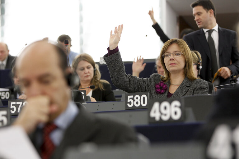 Fotografija 3: MEP Sidonia JEDRZEJEWSKA in Plenary session week 47 - 2012