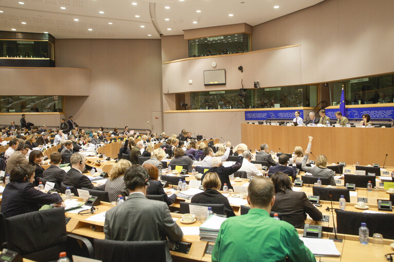 Foto 6: ENVI Committee. Non-commercial movement of pet animals - Vote on a regulation, report by Horst SCHNELLHARDT