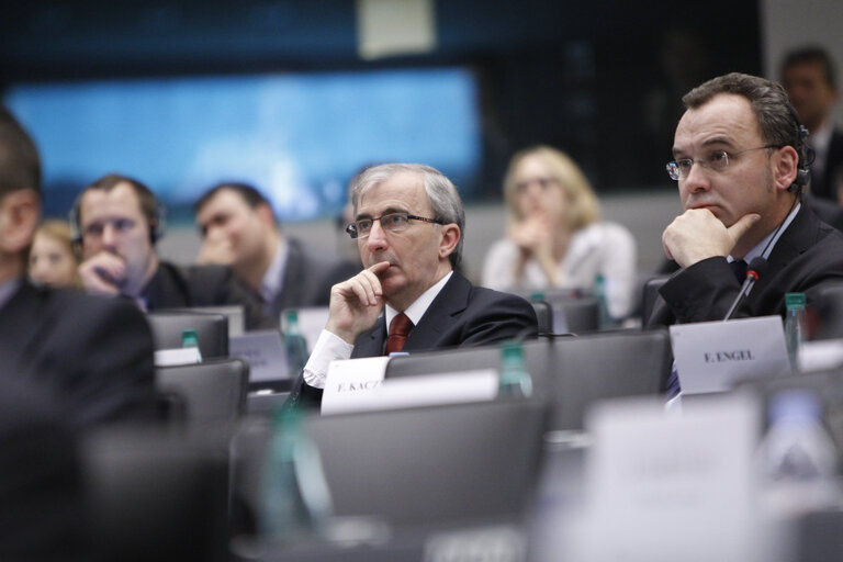 Fotografija 17: Committee on Foreign Affairs - AFET Committee meeting.  Exchange of views with the president of the republic of Haiti